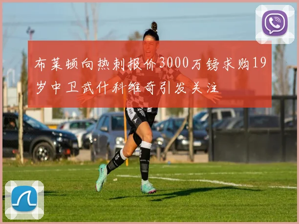 布莱顿向热刺报价3000万镑求购19岁中卫武什科维奇引发关注